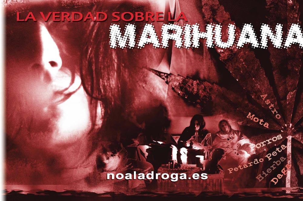 Folleto la Verdad sobre la marihuana Valencia sin Drogas